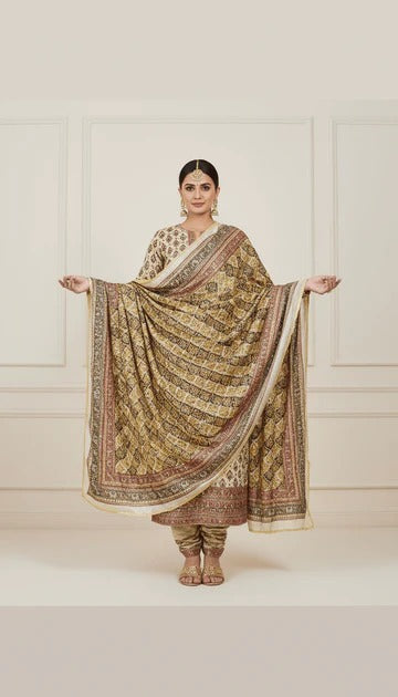 Mirror Work Dupatta Handwork Dupatta 2025SEP2001