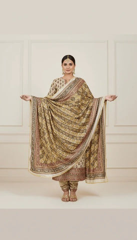 Mirror Work Dupatta Handwork Dupatta 2025SEP1801