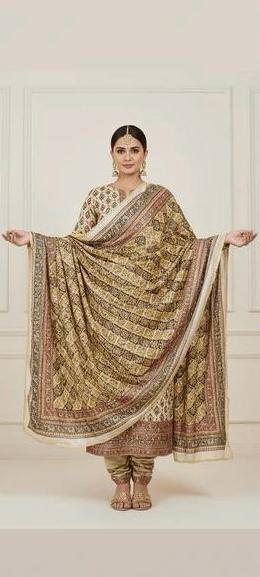 Mirror Work Dupatta Handwork Dupatta 2025SEP2017