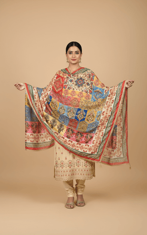 Mirror Work Dupatta Handwork Dupatta 2025Aug0202