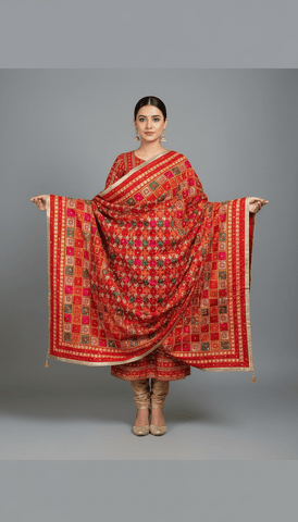 Phulkari Dupatta VD2025SEP1723
