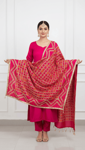 Phulkari Dupatta VD2025SEP1710